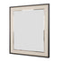 Alexa Mirror